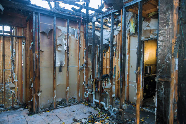 Professional Fire Damage Removal technician working in South Miami Heights, FL